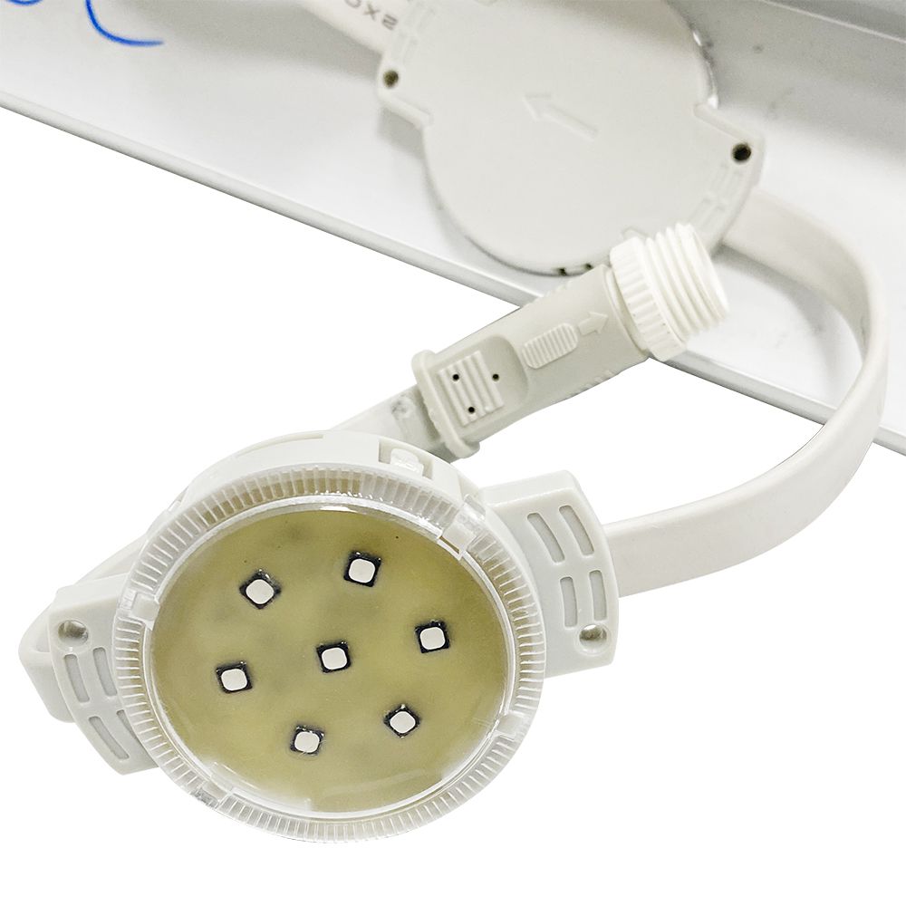 S36沙龙会 - 要玩就玩沙龙会