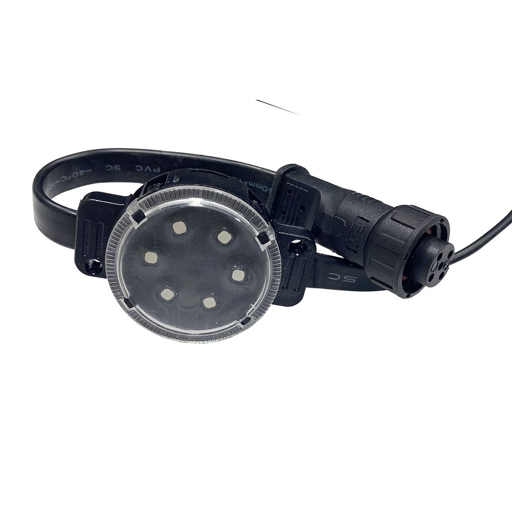 S36沙龙会 - 要玩就玩沙龙会