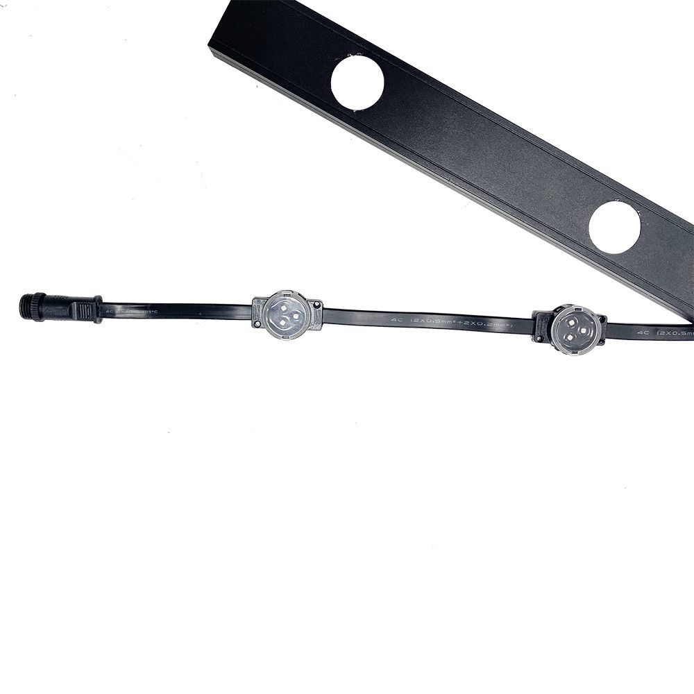 S36沙龙会 - 要玩就玩沙龙会