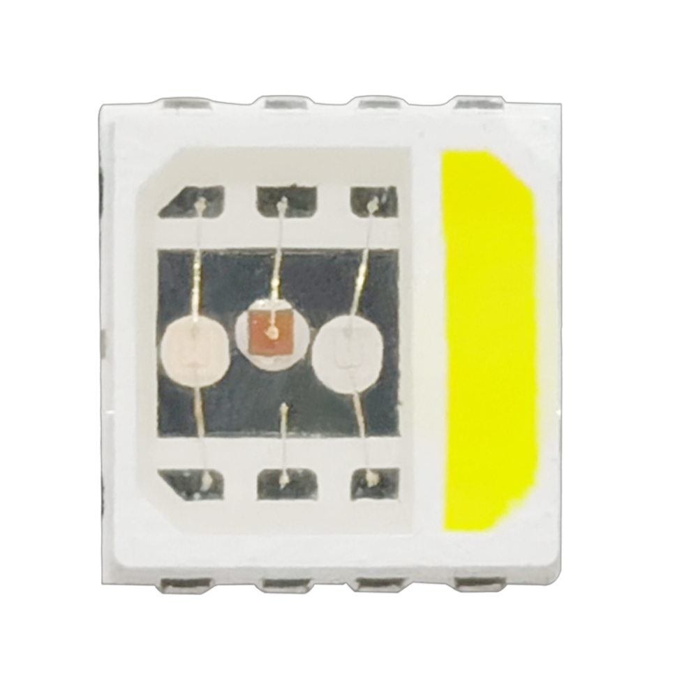 S36沙龙会 - 要玩就玩沙龙会