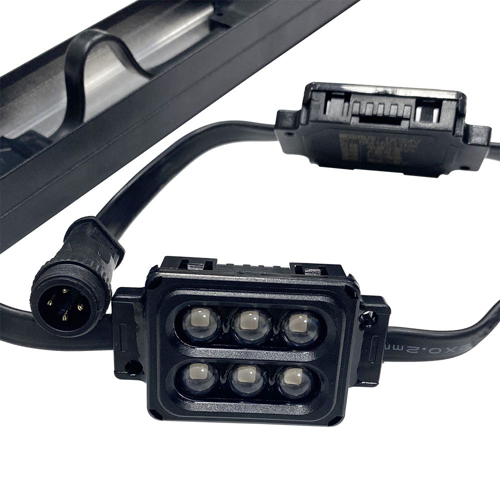 S36沙龙会 - 要玩就玩沙龙会